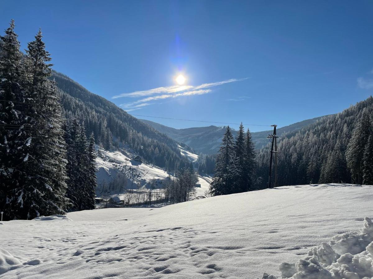 Ferienwohnungen Zum Klammlhof Ebene Reichenau Luaran gambar