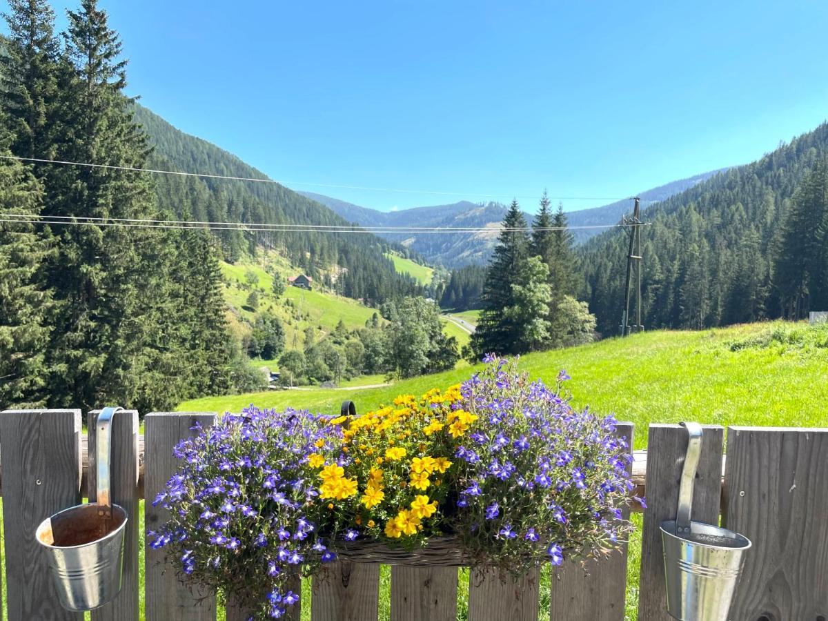 Ferienwohnungen Zum Klammlhof Ebene Reichenau Luaran gambar